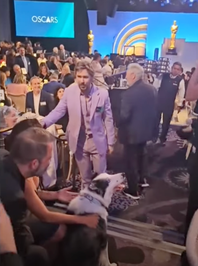 Ryan Gosling meeting Messi the Dog at the Osca's luncheon 